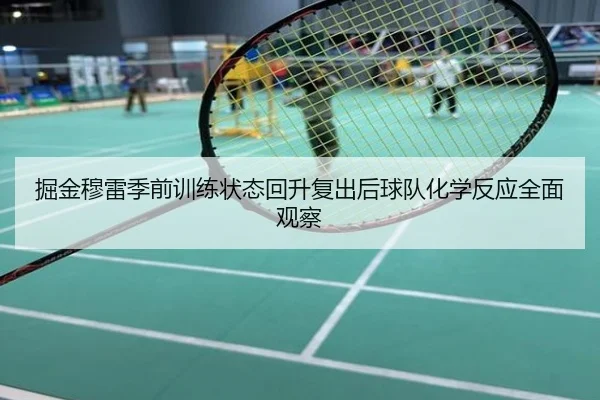 掘金穆雷季前训练状态回升复出后球队化学反应全面观察